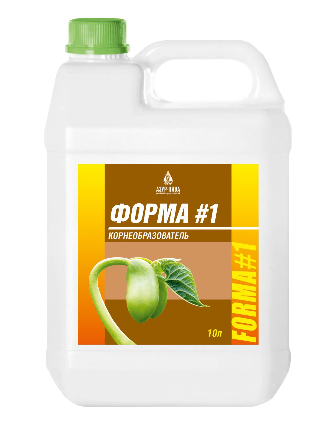 Форма #1 – Корнеобразователь